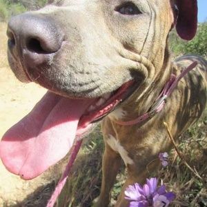 Meet your Posher, Janelle